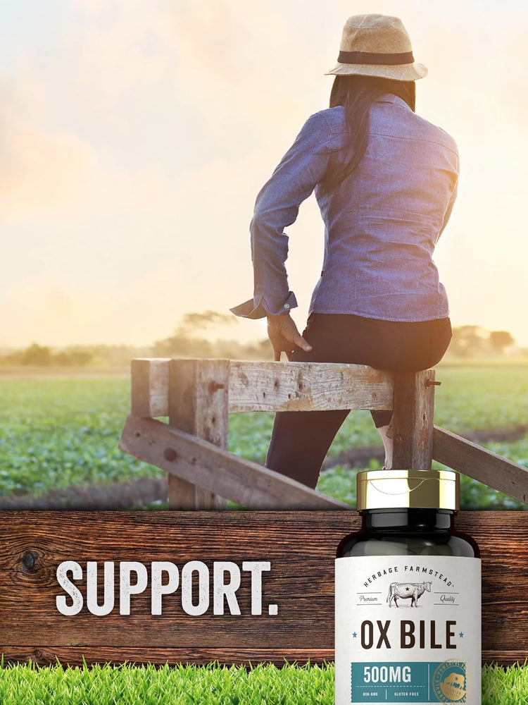 Bile di bue 500mg | 60 Capsule