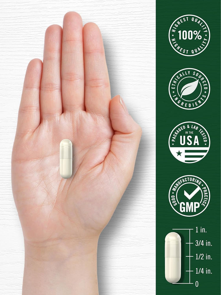 Sulforaphane Broccoli Sprout 400mcg | 180 Capsules