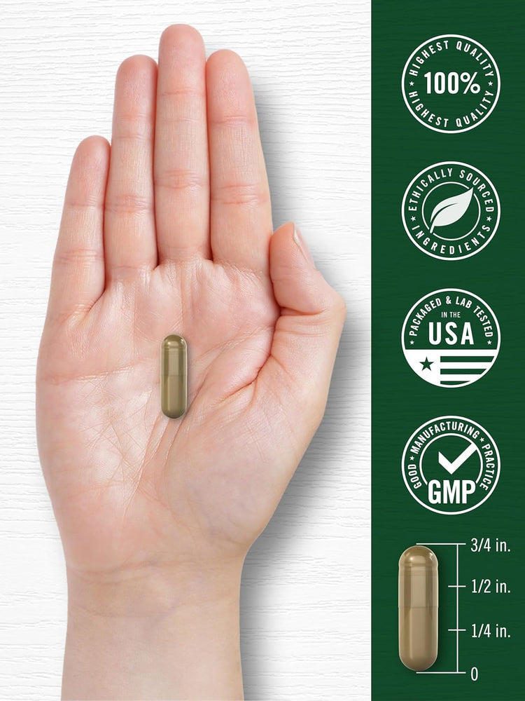 Sweet Wormwood 430mg | 200 Capsules