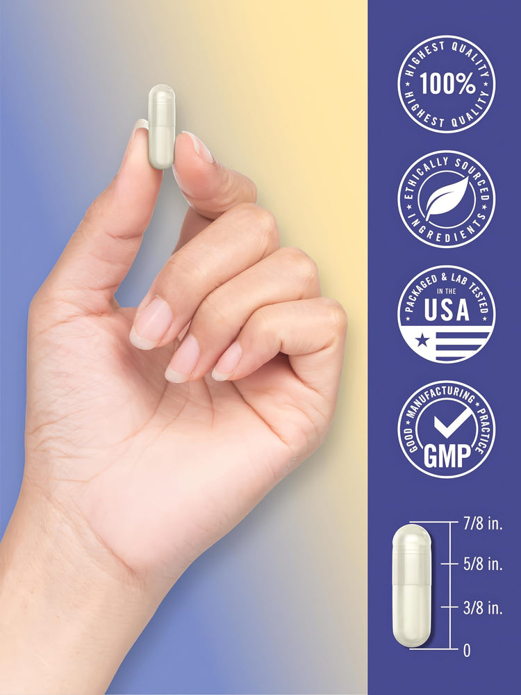 Infographic showcases 100% highest quality, ethically sourced ingredients; packaged, lab tested in USA, GMP, capsule size 7/8 inch.