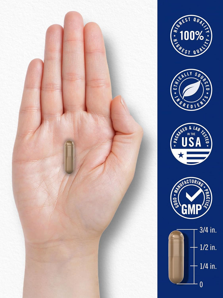 Blood Circulation Support Complex | 180 Capsules