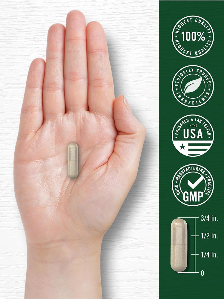 Feverfew capsule, 3/4 inch long, displaying badges: 100% Quality, Ethically Sourced, Lab Tested USA, GMP certified.