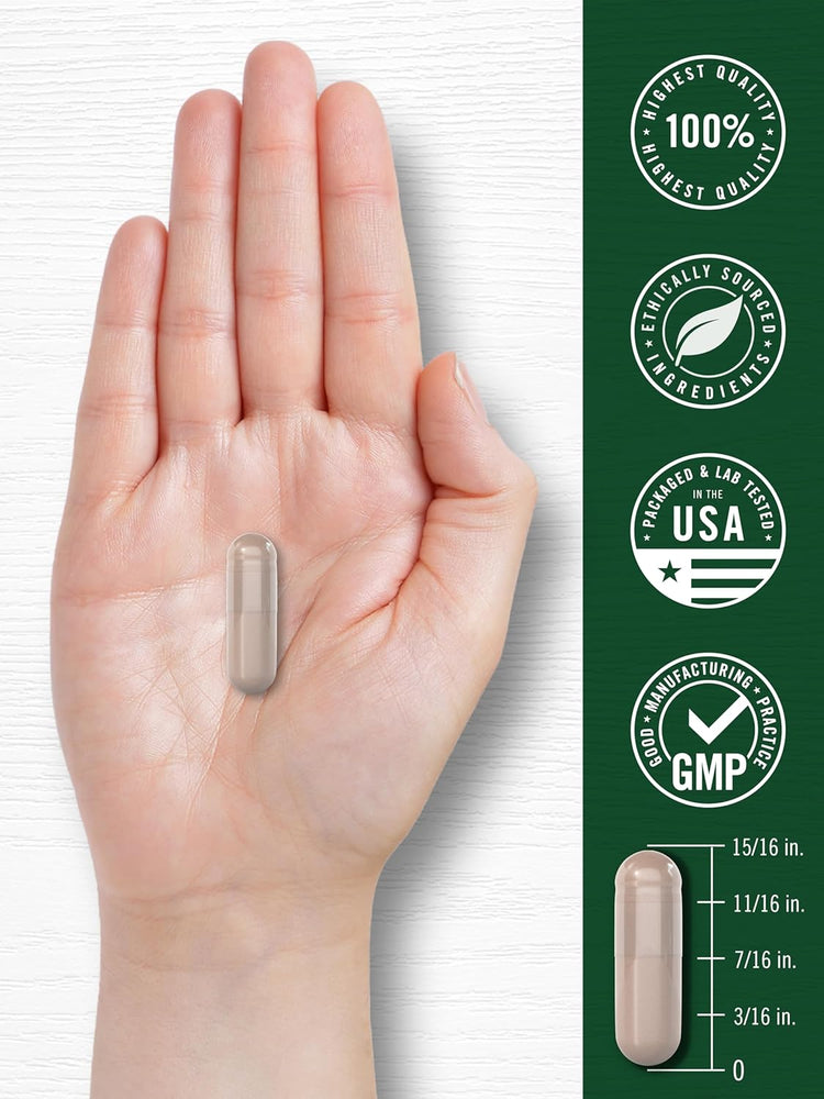 Horse Chestnut 600mg per serving | 180 Capsules