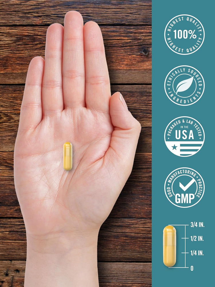 Bile di bue 500mg | 60 Capsule