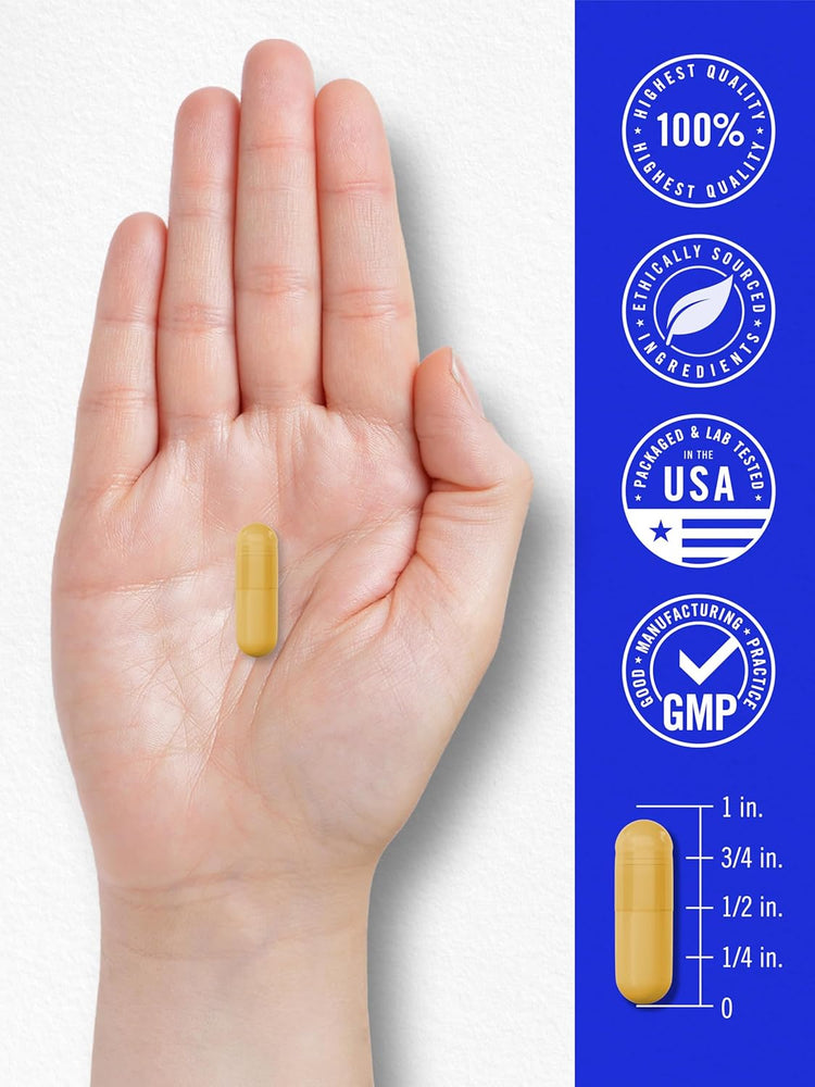 Vitamin B-100 Complex | 250 Capsules