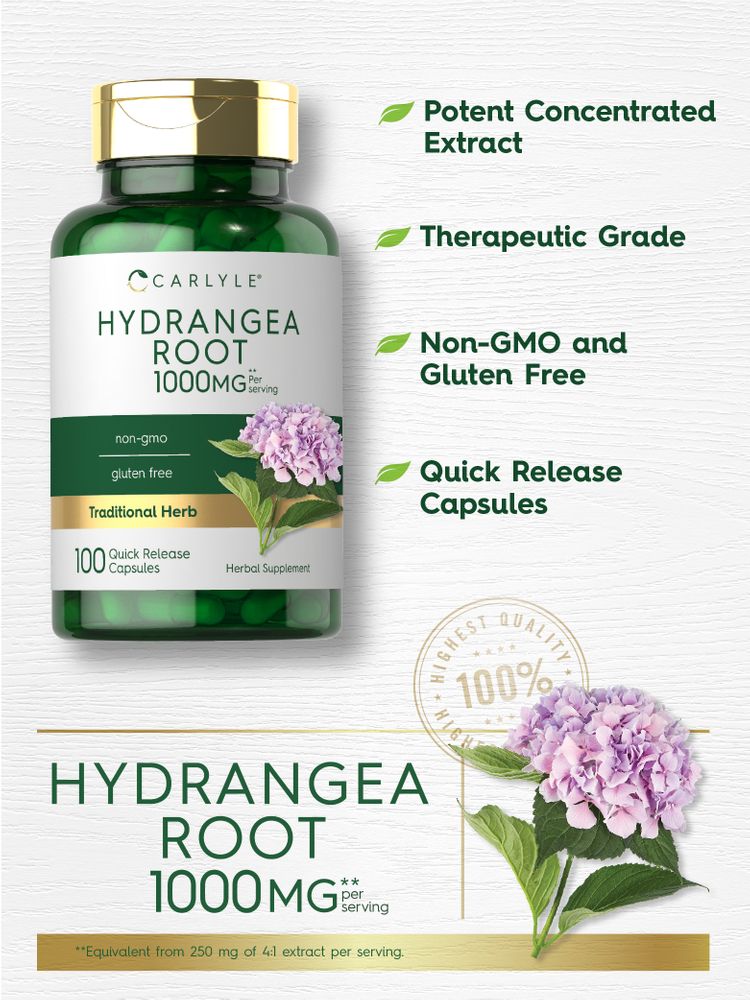 Hydrangea Root 1000mg per serving | 100 Capsules