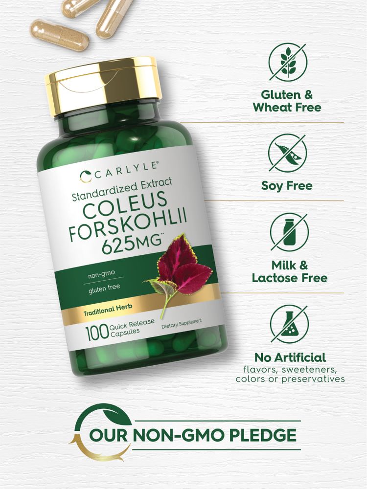 Coleus Forskohlii | 100 Capsules
