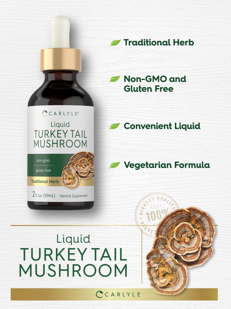 Cogumelo Turkey Tail | 2oz Líquido
