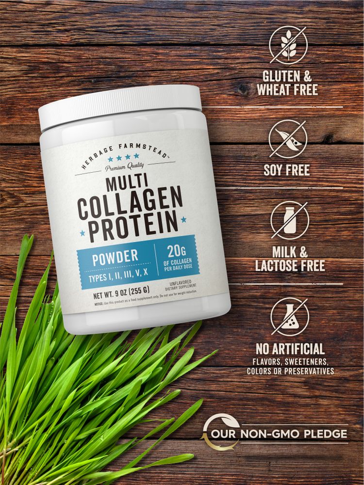 Proteína de Colágeno Múltiple | Polvo de 9oz