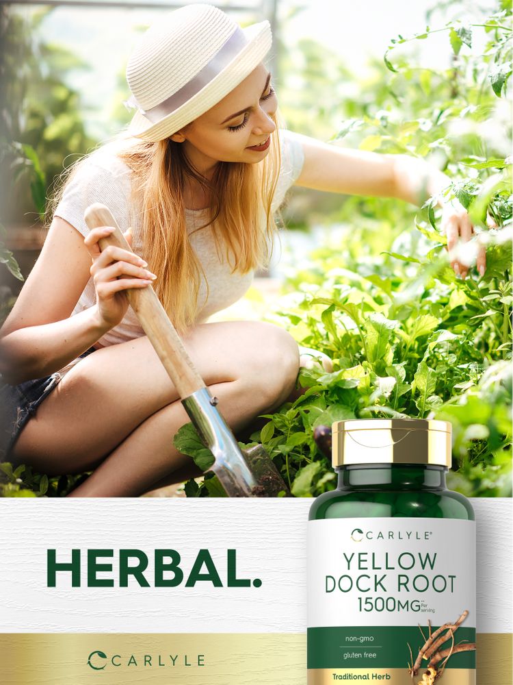 Raiz de Rumex 1500mg por porção | 200 Cápsulas