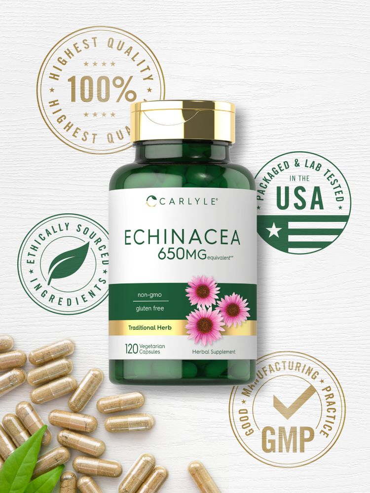 Echinacea 650mg | 120 Capsule