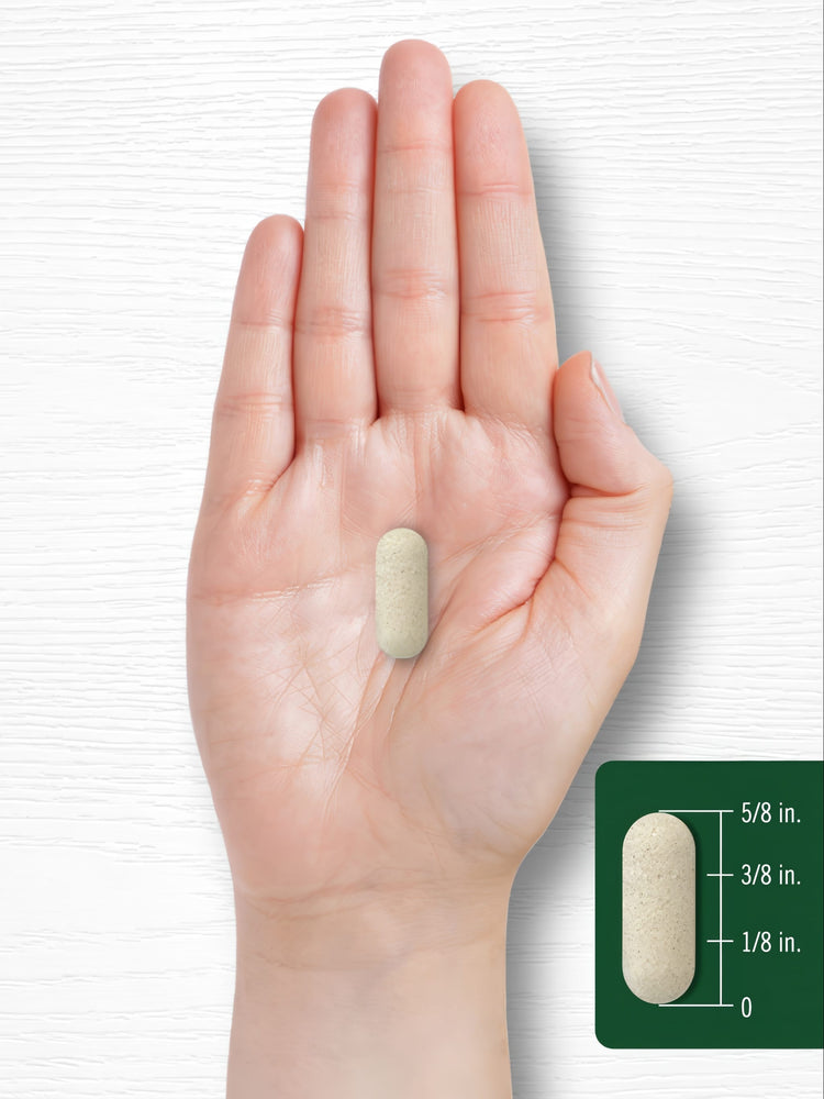 A single tablet measuring five-eighths of an inch long is displayed on a hand-held scale, emphasizing its compact size.