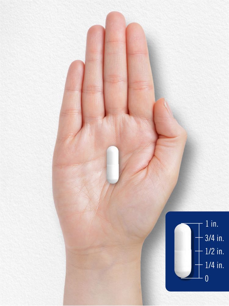 Citicolina CDP Colina 1000 mg per dose | 60 Capsule