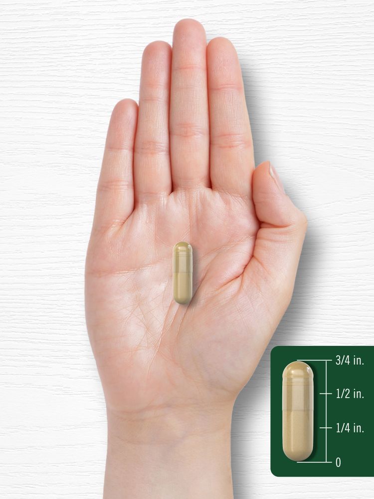 Yucca Root | 120 Capsules