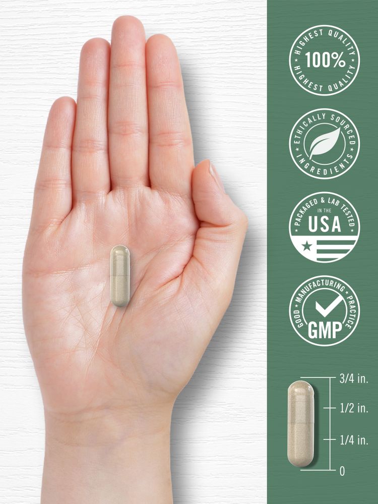 Ciliegia Acerola 1000mg per dose | 150 Capsule