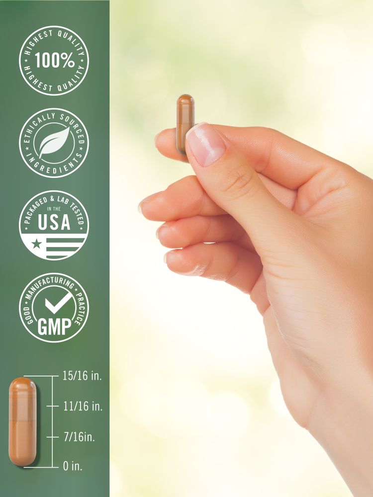 Turmeric Curcumin | 150 Capsules