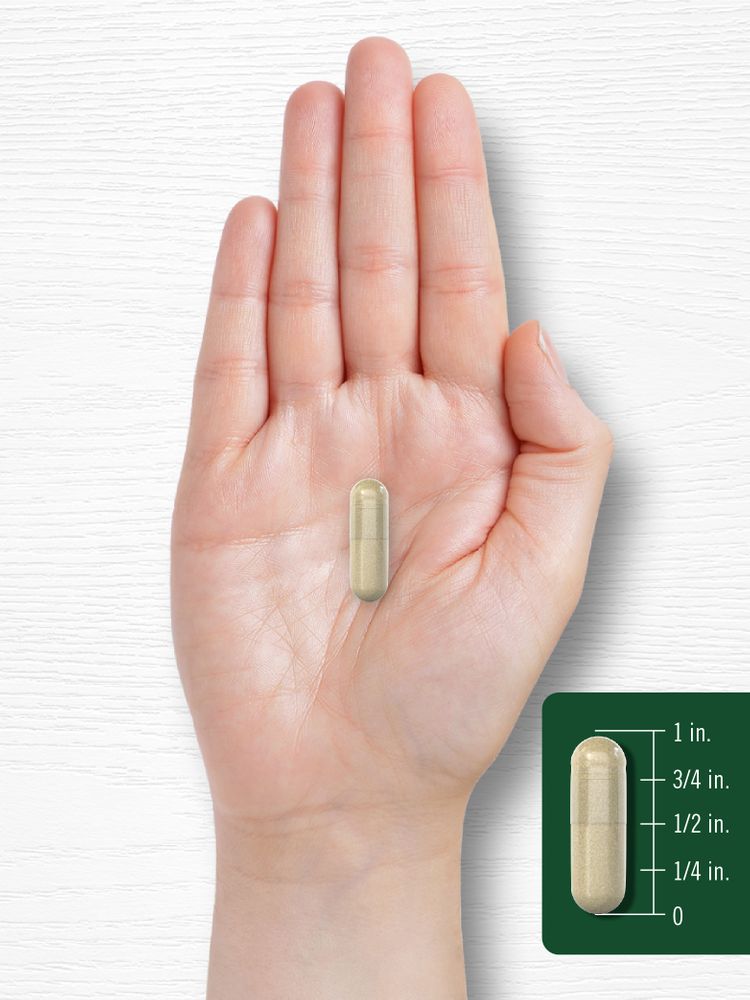 Sage 1600mg | 180 Capsules