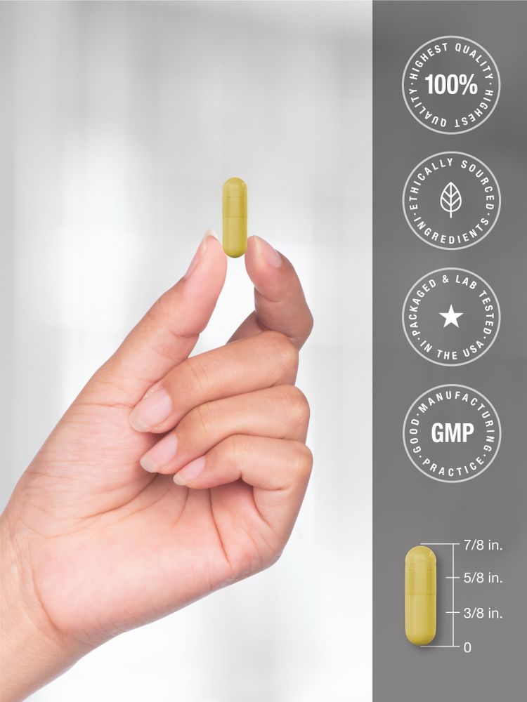 Turmeric Curcumin 2000mg | 250 Capsules