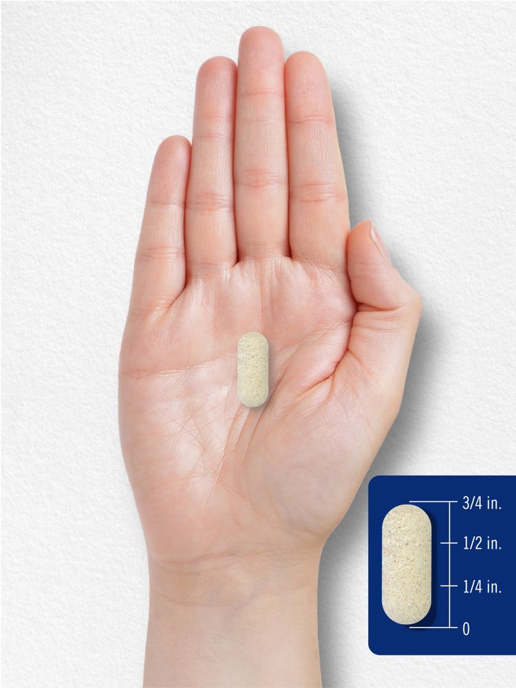 Pancreatin Digestive Enzymes | 250 Caplets