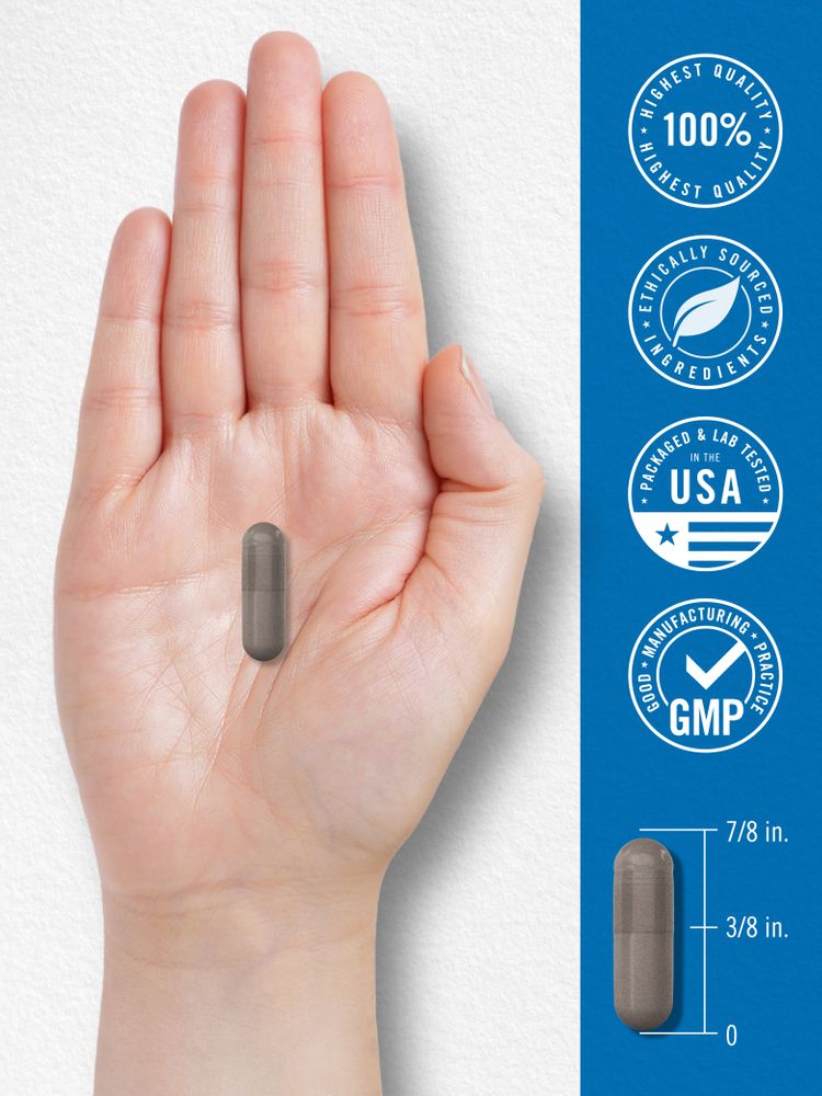 Fiber and Probiotic Supplement | 60 Capsules