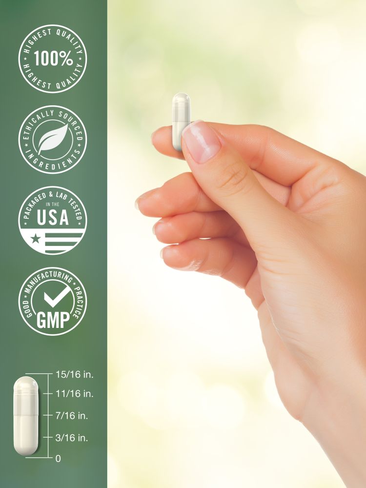 Apple Cider Vinegar 1800mg per serving | 180 Capsules