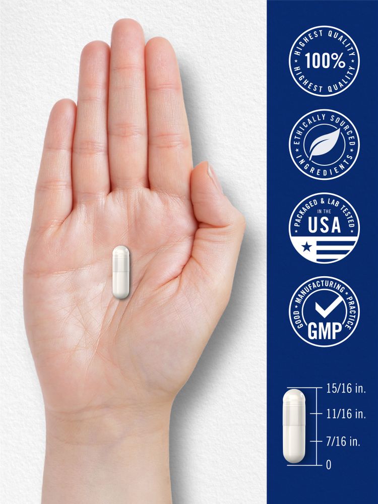 Complejo Triple de Magnesio 400mg | 240 Cápsulas