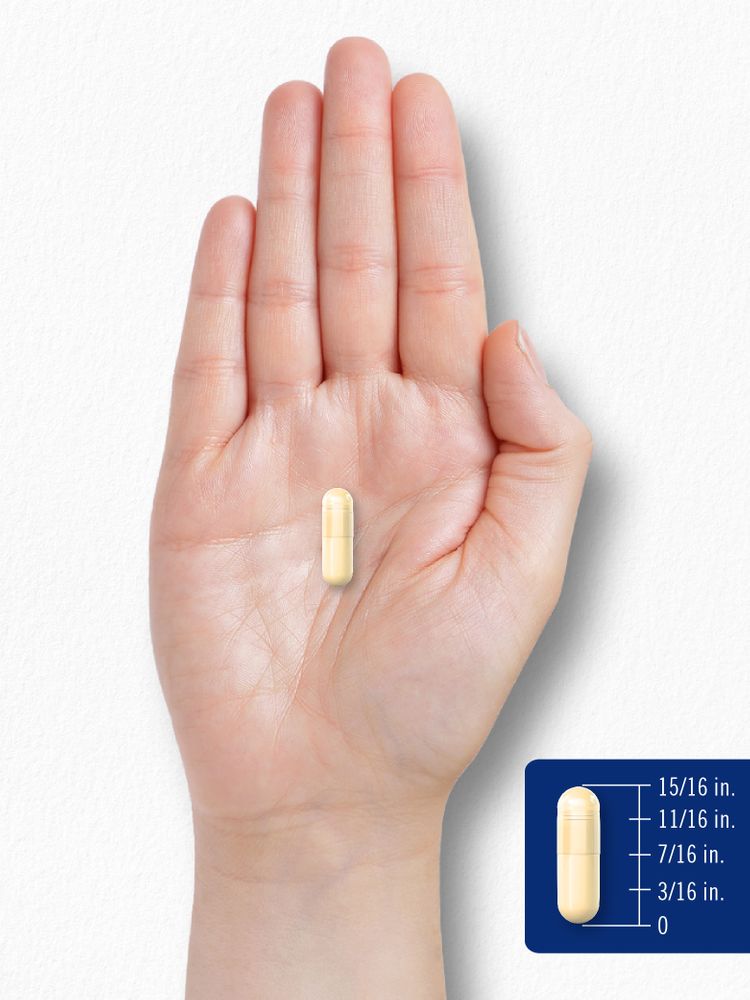 Alpha Lipoic Acid 600mg per serving | 90 Capsules