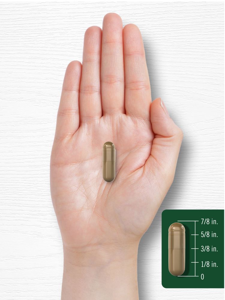 Fennel Seed 480mg | 200 Capsules