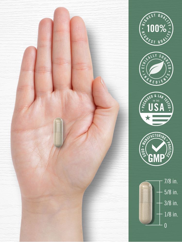 Complejo de Bayas de Espino 2500mg por porción | 120 Cápsulas