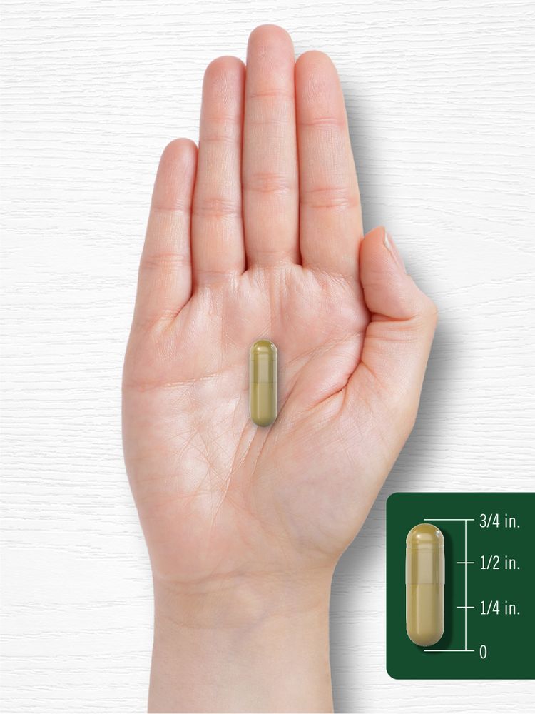 Siberian Eleuthero | 300 Capsules