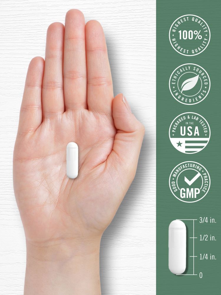 Teufelskralle 2000mg pro Portion | 200 Kapseln