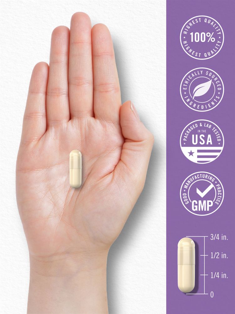 Probiotikum Saccharomyces Boulardii 10 Milliarden KBE pro Portion | 200 Kapseln
