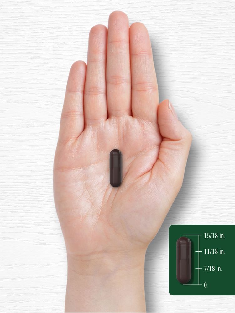 Grapeseed, Green Tea, Pine Bark | 150 Capsules