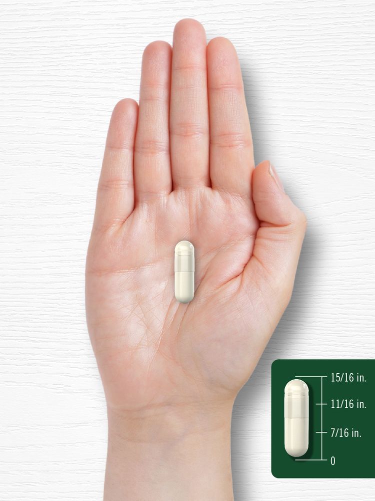 Vinagre de Sidra de Manzana 2400mg por porción | 240 Cápsulas