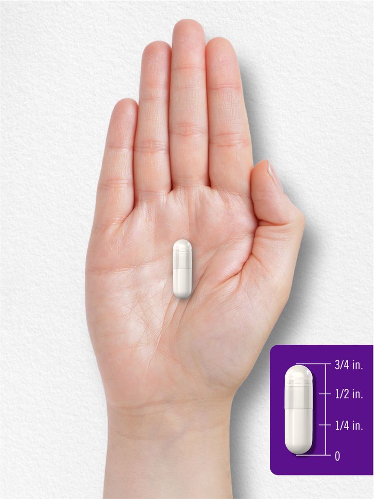 Probiotic 3 Billion CFU | 60 Capsules