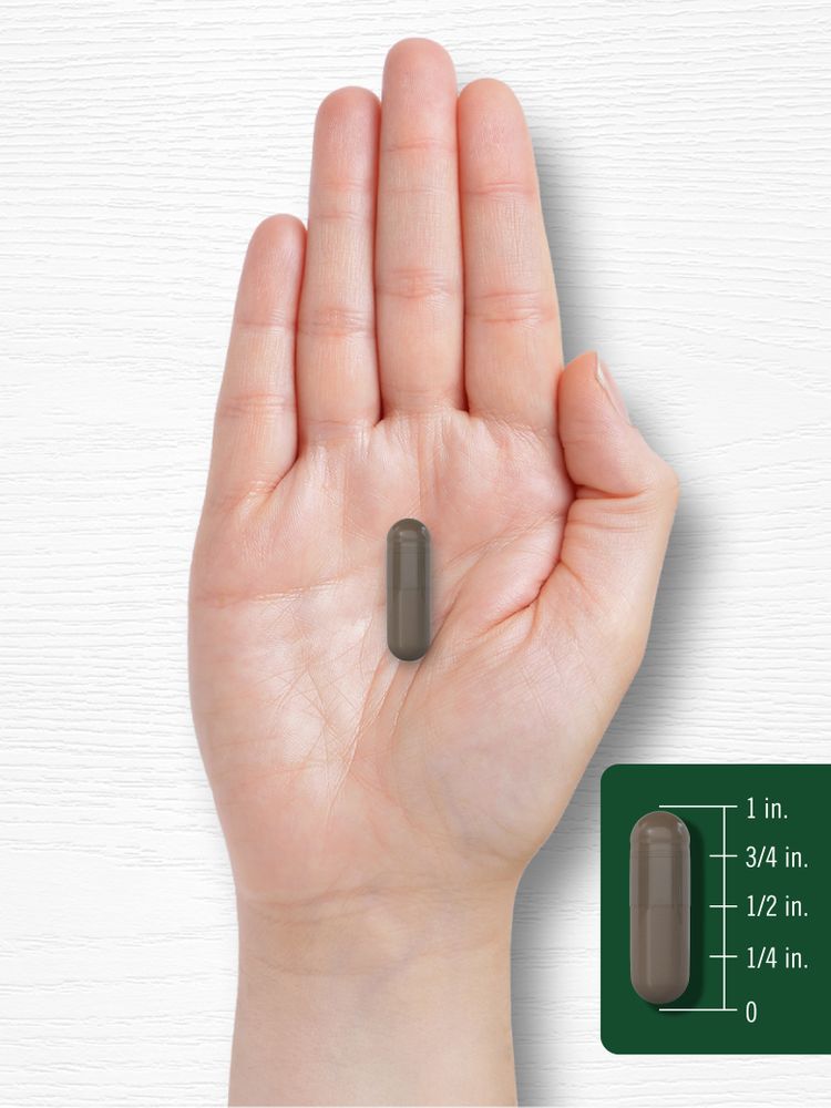 Shilajit 2000mg | 90 Kapseln