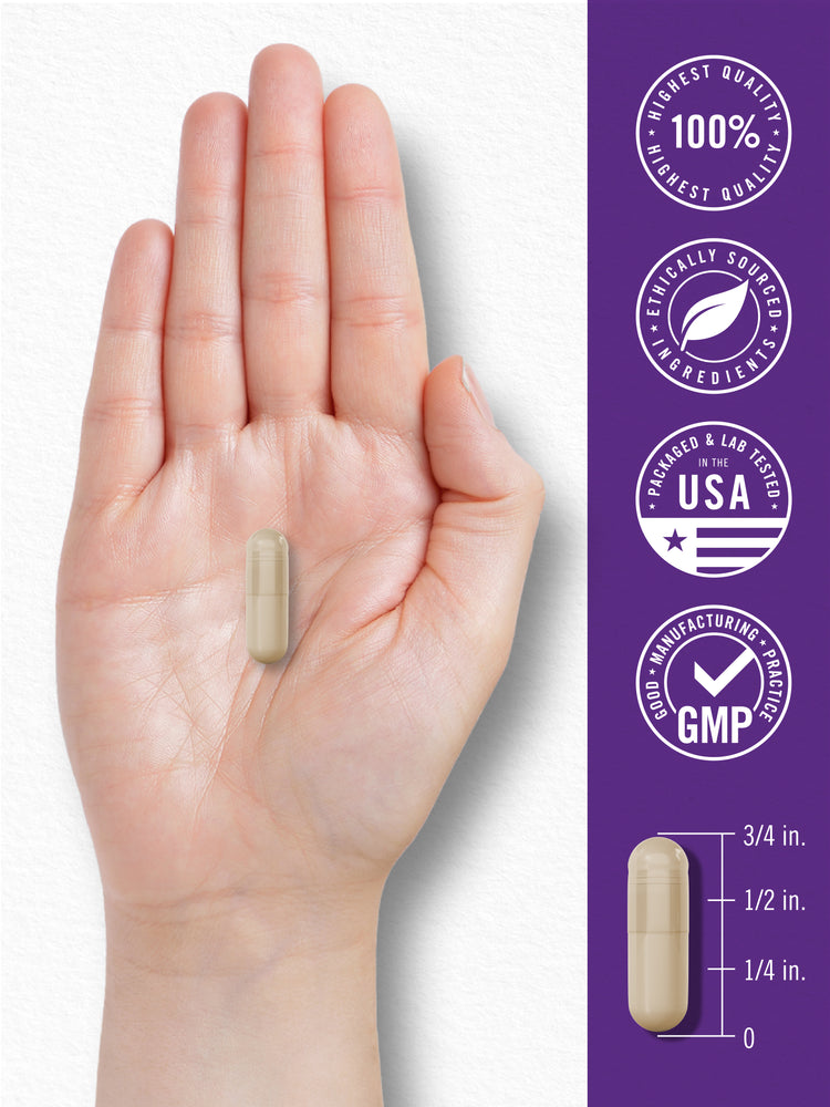 Probiotico 100 Miliardi di CFU | 120 Capsule