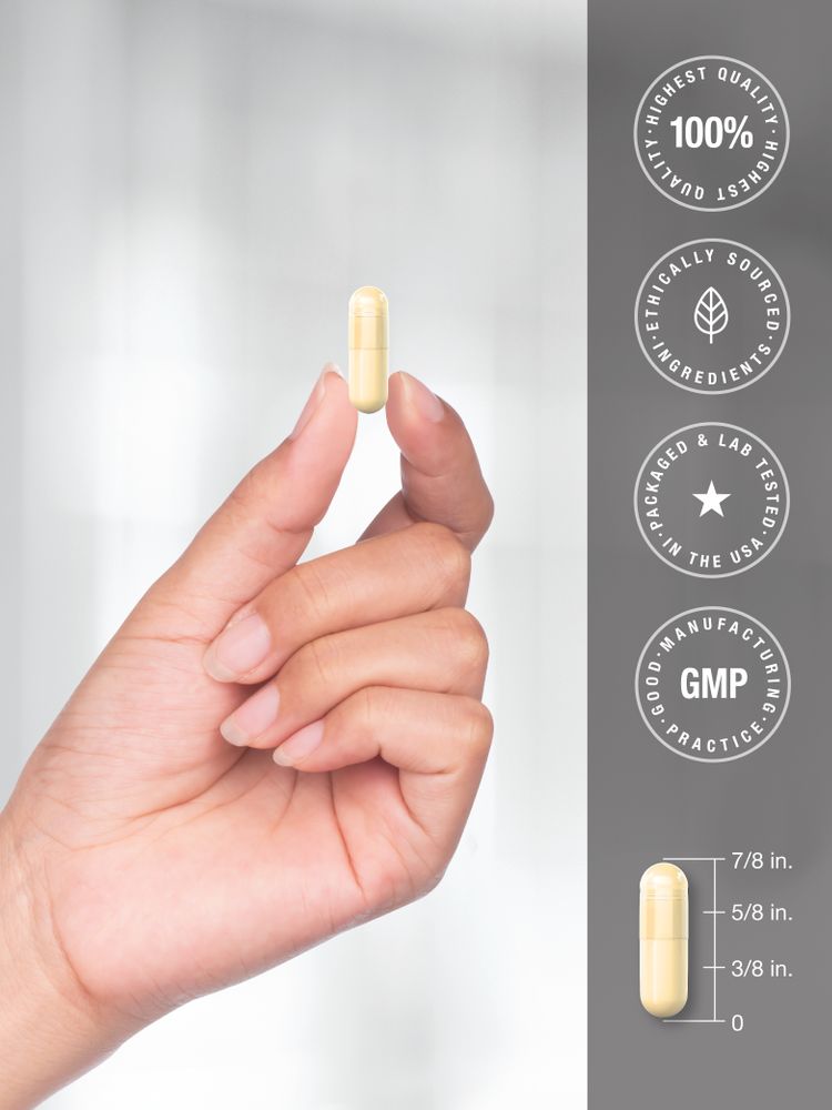 Acide Alpha Lipoïque 300mg | 150 Capsules