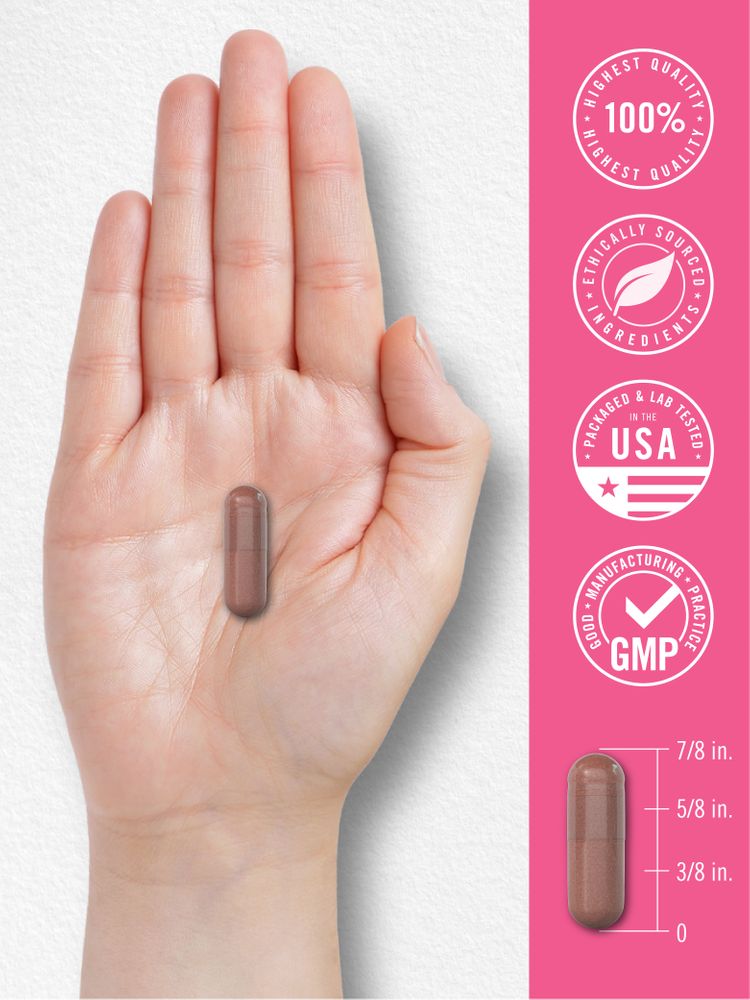 Harn- und Vaginal-Probiotikum für Frauen | 60 Kapseln