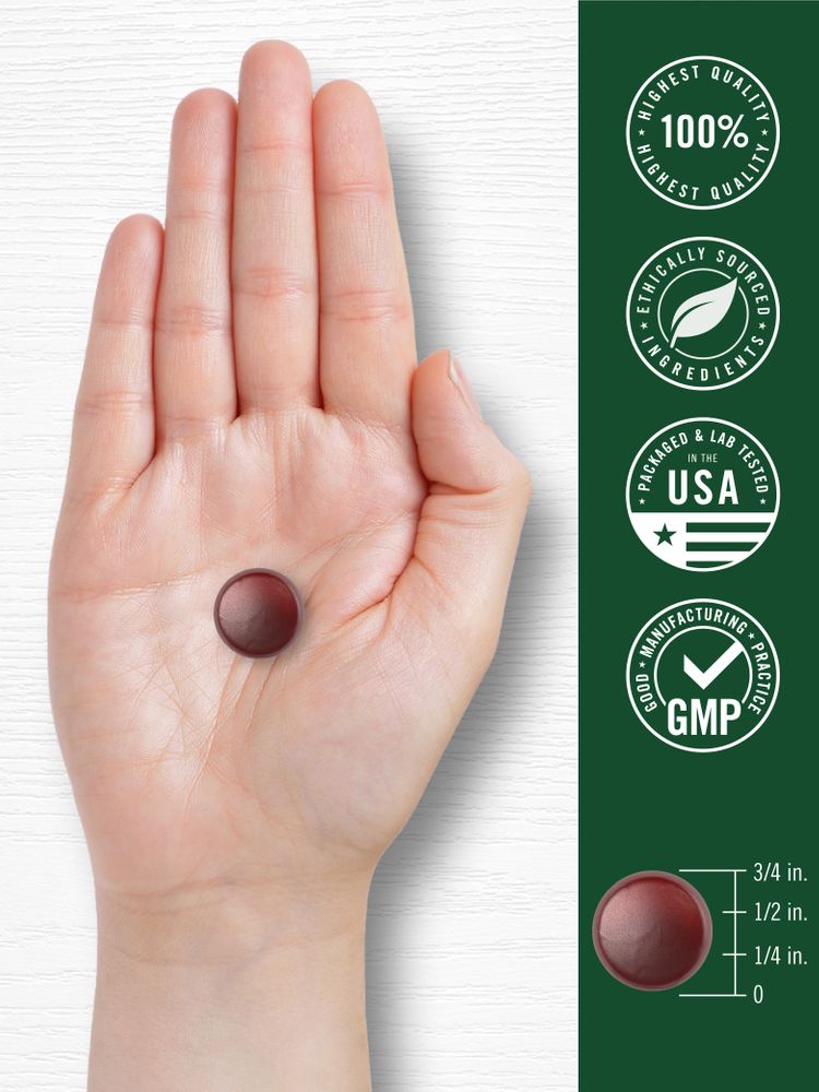 Ginkgo Biloba | 70 Gommose