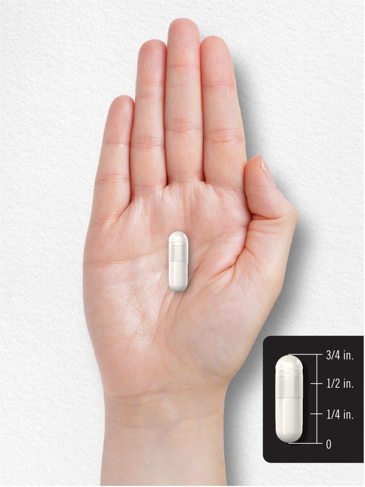 Zinc Picolinate 50mg | 300 Capsules