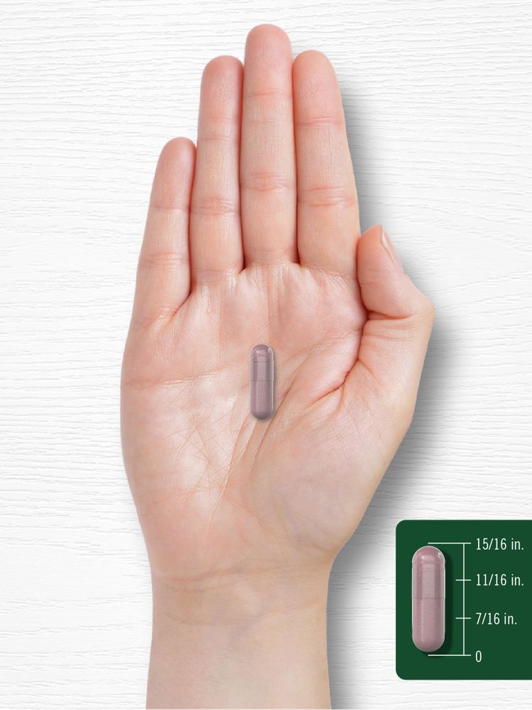 Cranberry | 90 Capsules