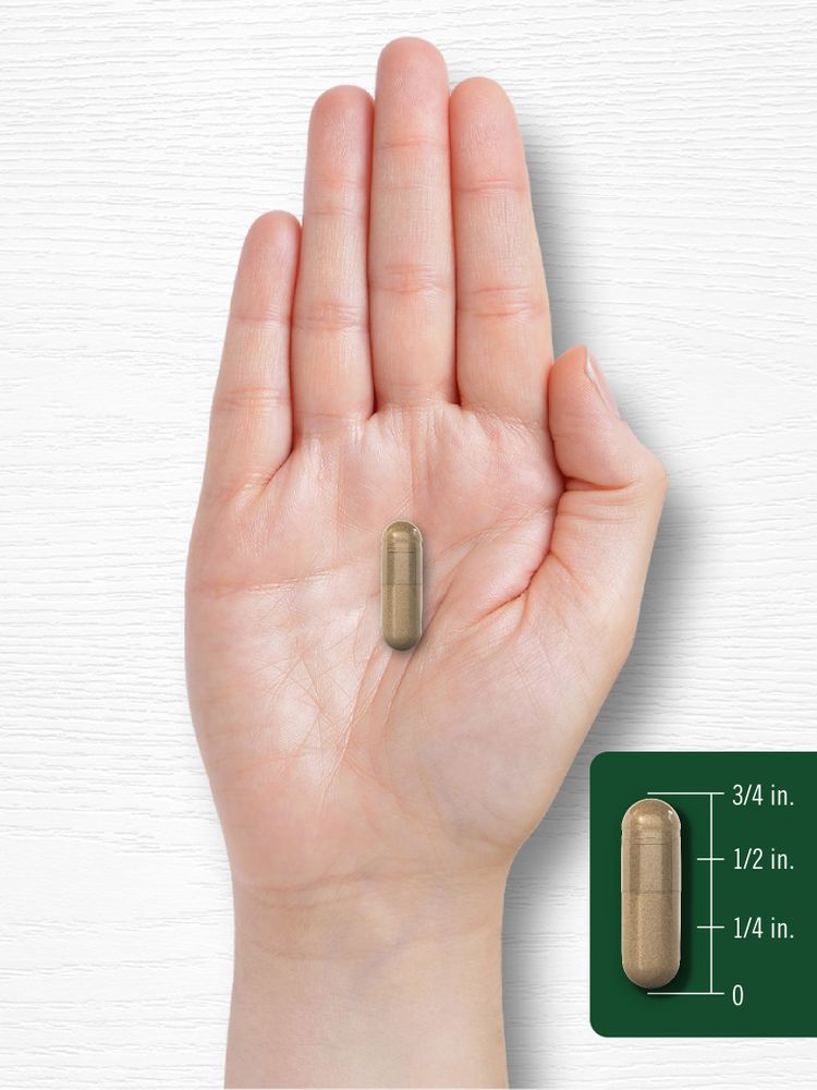 Milk Thistle Extract | 300 Capsules