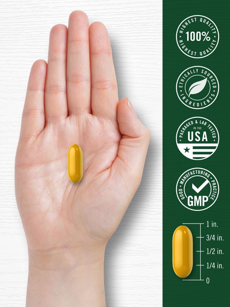 Turmeric Curcumin | 60 Softgels