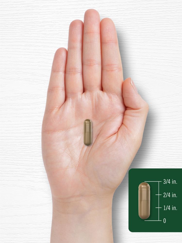 Uva Ursi | 150 Cápsulas