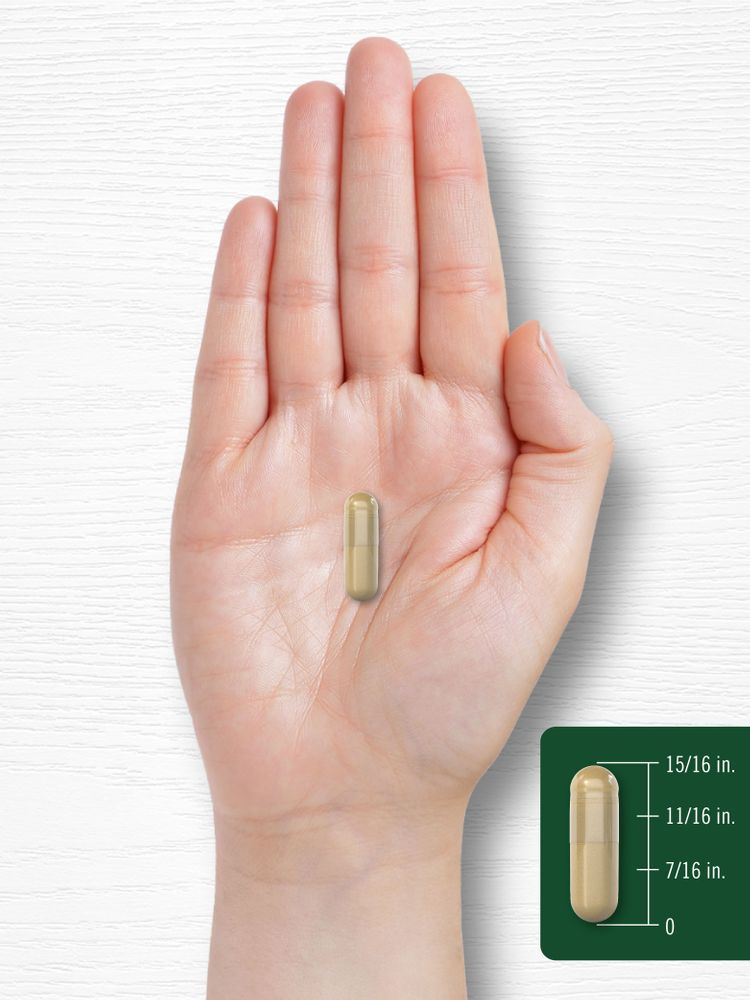 Echinacea | 120 Capsules