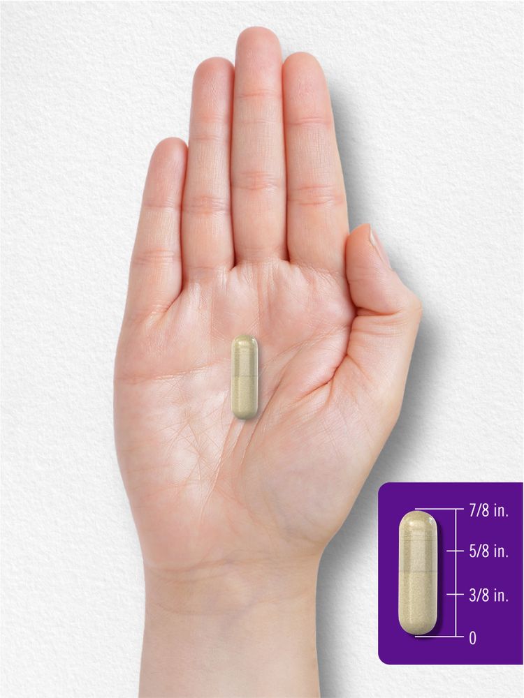 Fórmula para la Vesícula Biliar | 120 Cápsulas