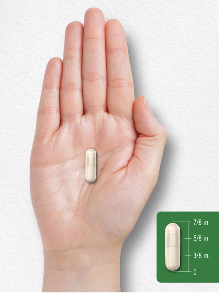 Vitamin E 400 IU | 120 Capsules