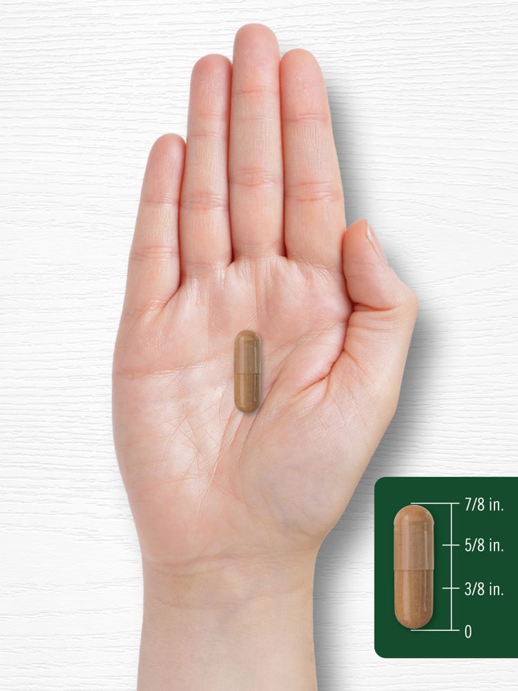 African Mango | 80 Capsules