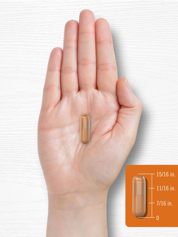 Turmeric 550mg per serving | 60 Capsules